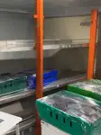 Navă de croazieră și feribot de vânzare