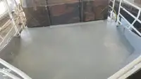 Navă de feribot de vânzare