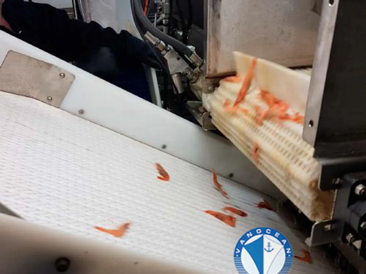 Nava de pescuit tip trauler de vânzare