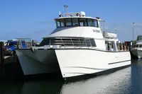 Catamaran de vânzare