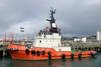 Remorcher de vânzare