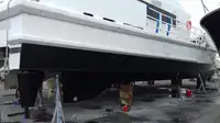 Catamaran de vânzare