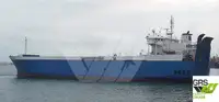 Ro-Ro ship de vânzare