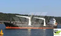 Nava de transport marfă vrac de vânzare
