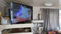 Nava de pescuit tip trauler de vânzare