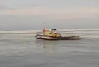 Remorcher de vânzare