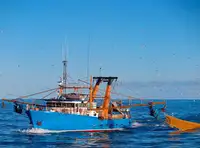 Trawler de vânzare