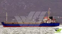 Nava de transport marfă vrac de vânzare