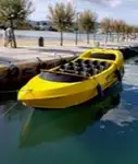 Navă de pasageri de vânzare