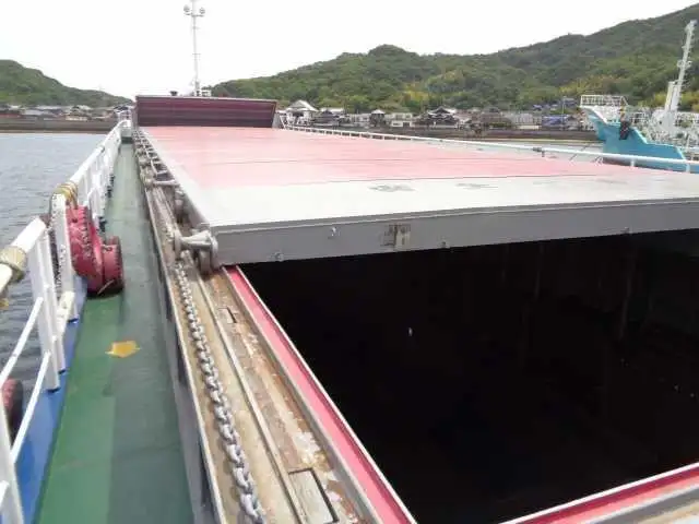 Nava de transport marfă vrac de vânzare