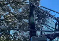 Nava de pescuit tip trauler de vânzare