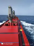 Nava de transport marfă vrac de vânzare