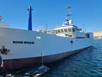 Longliner de vânzare