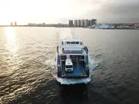 Navă Ro-Ro de vânzare