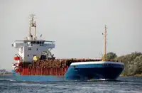 Nava de transport marfă vrac de vânzare