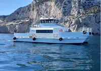 Catamaran de vânzare
