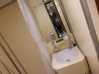 Nava de transport marfă vrac de vânzare