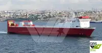 Ro-Ro ship de vânzare