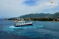 Navă de feribot de vânzare
