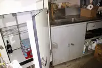 Navă de feribot de vânzare