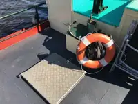 Remorcher de vânzare