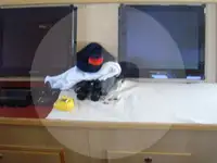 Nava de pescuit tip trauler de vânzare