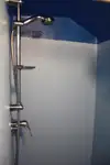 Navă de croazieră de vânzare