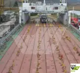 Navă Ro-Ro de vânzare