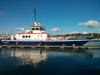 Catamaran de vânzare