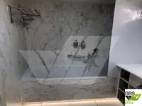 Navă de croazieră de vânzare
