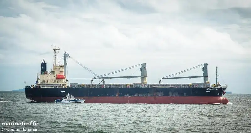 Nava de transport marfă vrac de vânzare