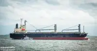 Nava de transport marfă vrac de vânzare