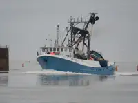Nava de pescuit cu plase purseine de vânzare