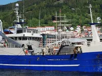 Nava de pescuit cu plase purseine de vânzare