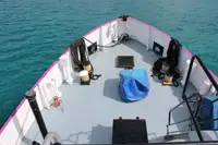 General Cargo/Multi-purpose de vânzare