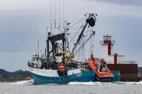 Nava de pescuit cu plase purseine de vânzare