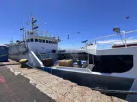Nava de pescuit tip trauler de vânzare