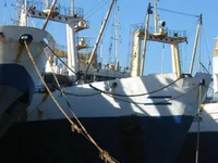 Nava de pescuit tip trauler de vânzare