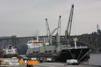 Nava de transport marfă vrac de vânzare
