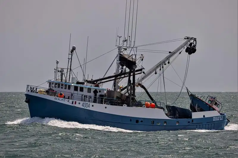 Nava de pescuit cu plase purseine de vânzare