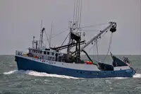 Nava de pescuit cu plase purseine de vânzare
