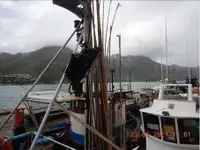 Nava de pescuit tip trauler de vânzare