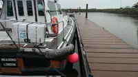 Navă pilot de vânzare