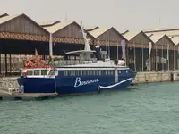 Navă de feribot de vânzare