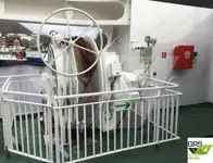 Navă Ro-Ro de vânzare