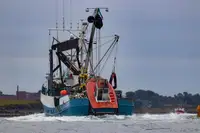 Nava de pescuit cu plase purseine de vânzare