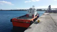 Bărci de lucru de vânzare