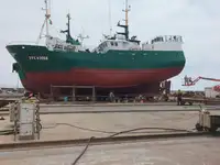 Trawler de vânzare