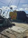 Nava de pescuit cu plase purseine de vânzare