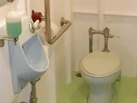 Navă RoPax de vânzare